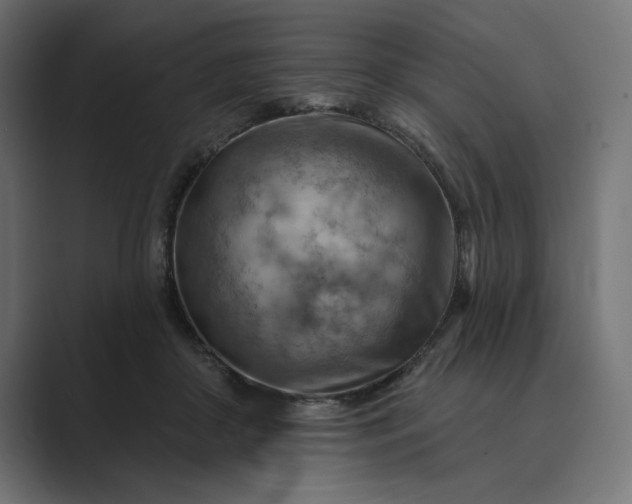 X0000089380410200706291320
