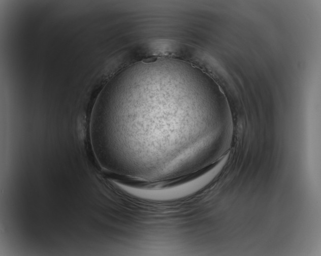 X0000089380413200706291320