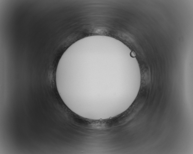 X0000089380415200706291320