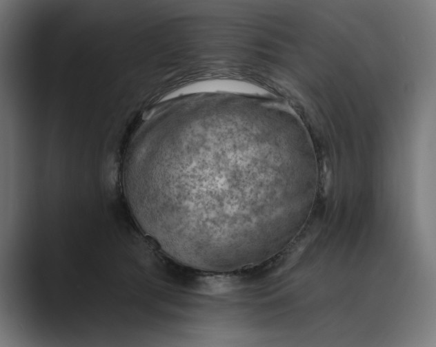 X0000089380417200706291320