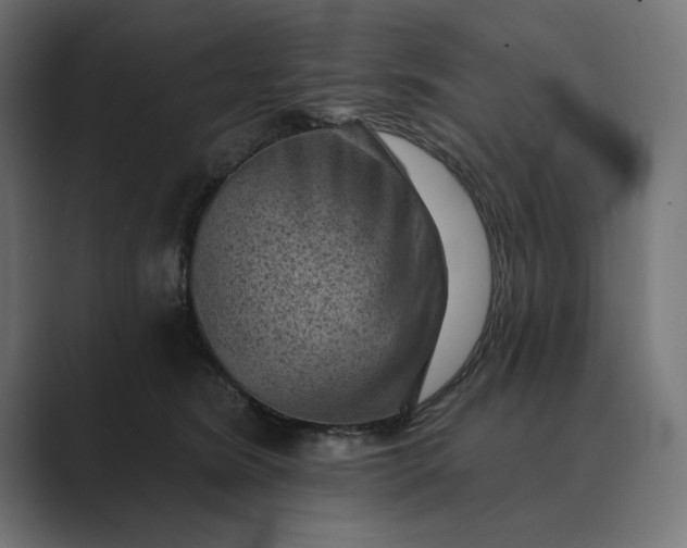 X0000089380420200706291320