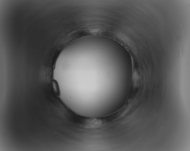 X0000089380421200706291320