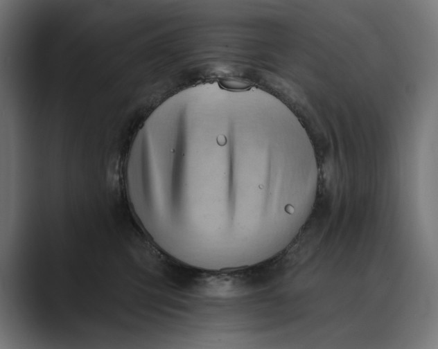 X0000089380423200706291320