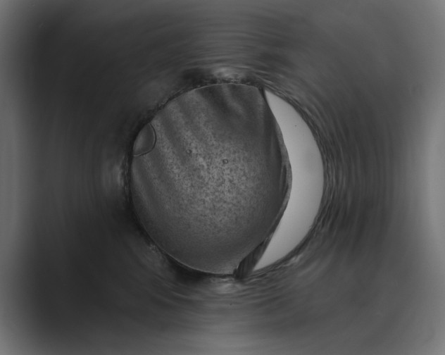 X0000089380424200706291320