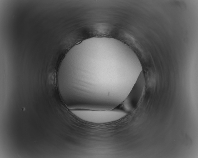 X0000089380425200706291320