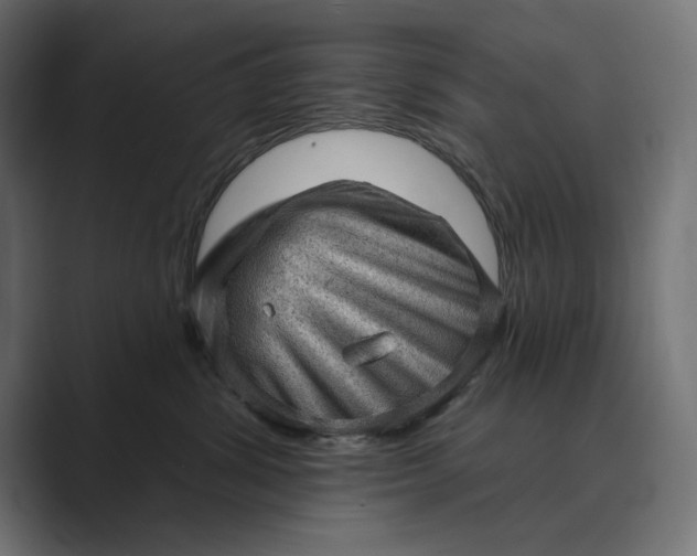 X0000089380428200706291320