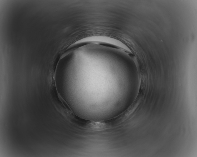 X0000089380429200706291320