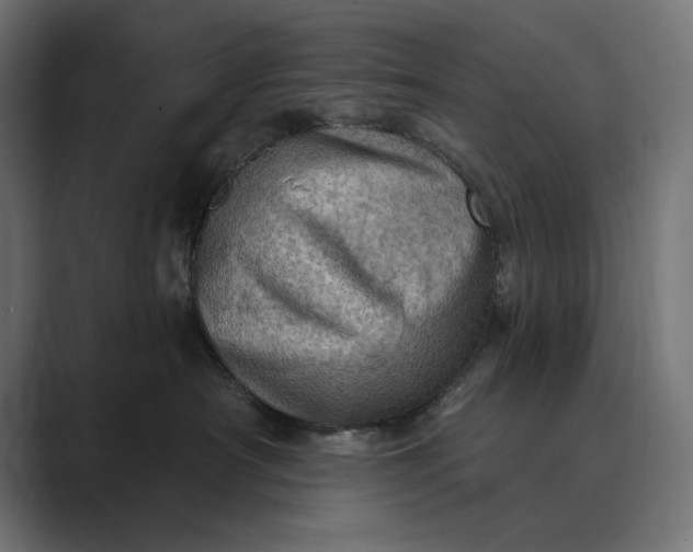 X0000089380430200706291320