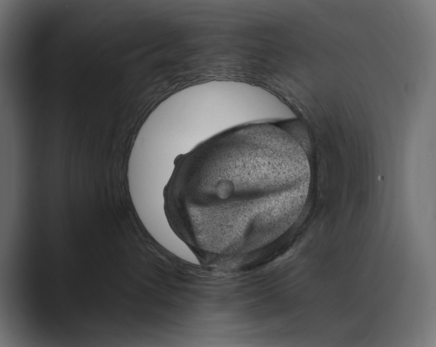 X0000089380432200706291320