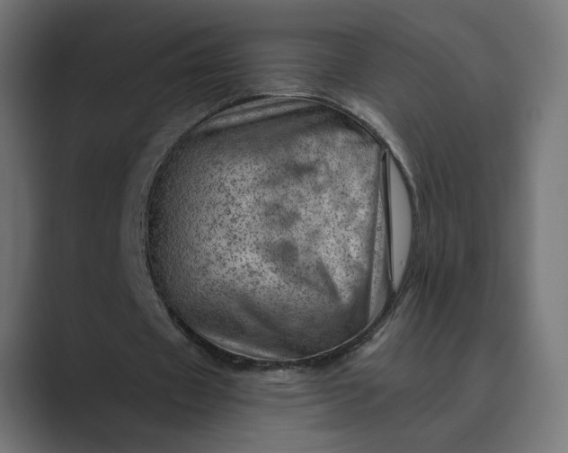 X0000089380433200706291319