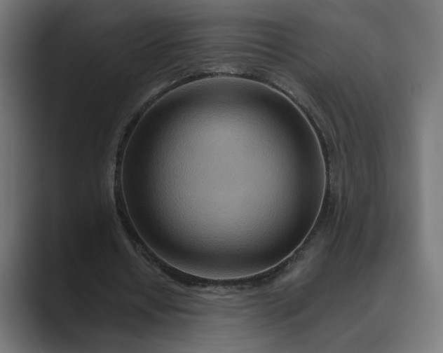 X0000089380434200706291319