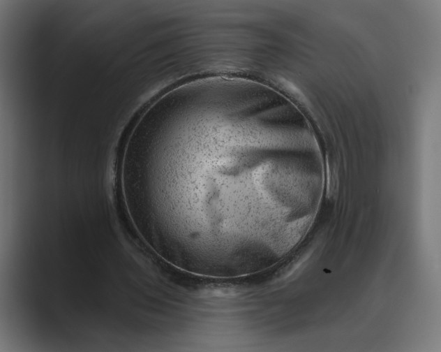 X0000089380435200706291319