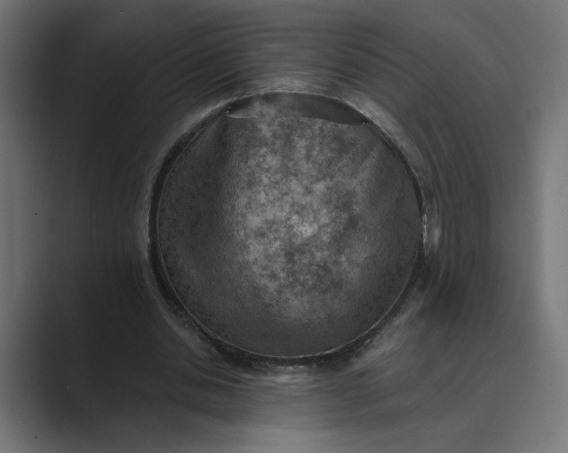 X0000089380438200706291319