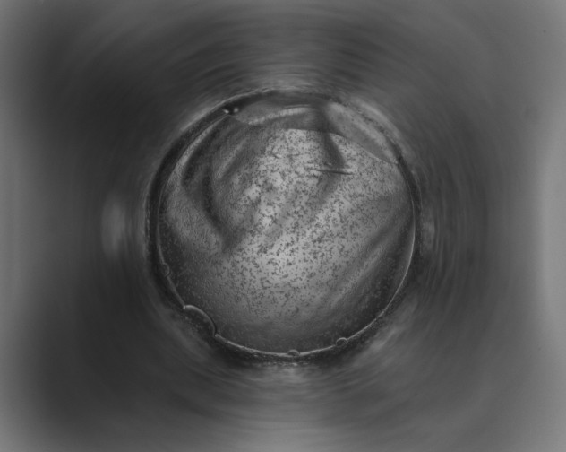 X0000089380439200706291319