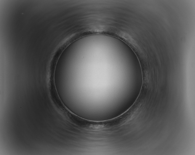 X0000089380440200706291319