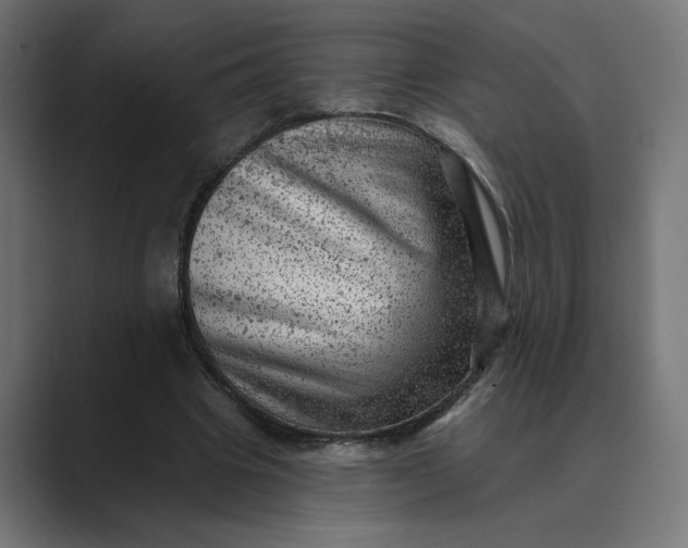 X0000089380441200706291319