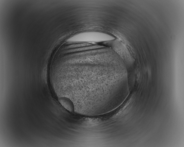 X0000089380442200706291319
