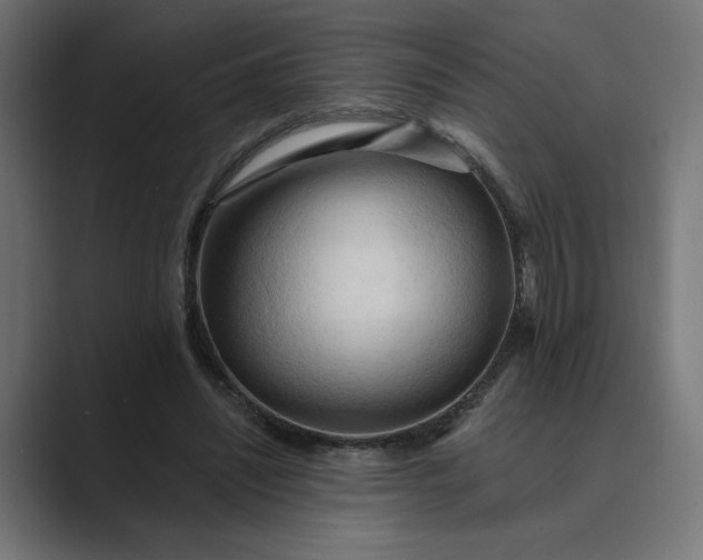 X0000089380444200706291319
