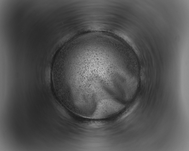 X0000089380445200706291319
