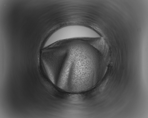 X0000089380446200706291319