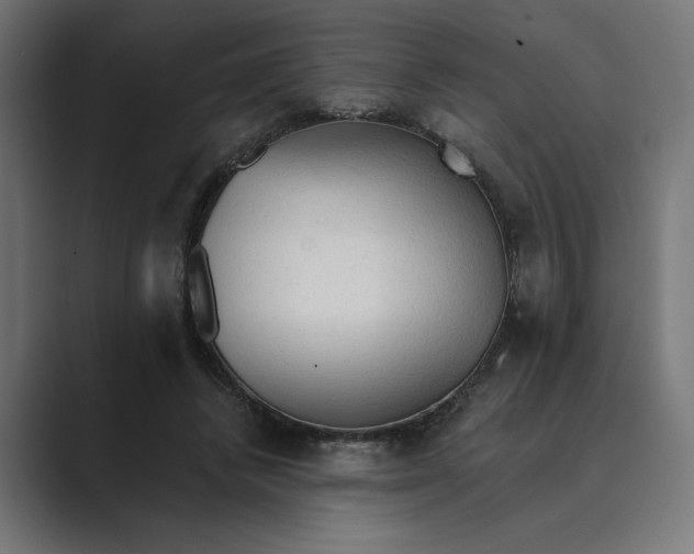 X0000089380448200706291319