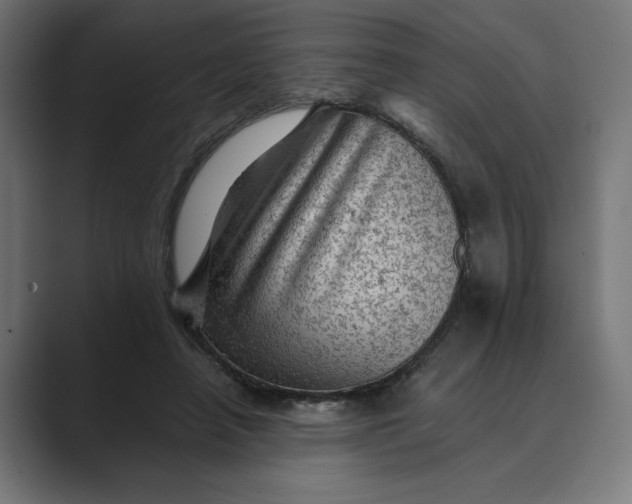 X0000089380450200706291320
