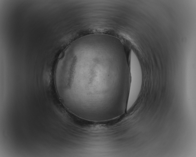 X0000089380451200706291320