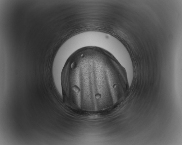 X0000089380456200706291320
