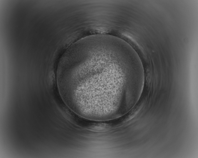 X0000089380459200706291320