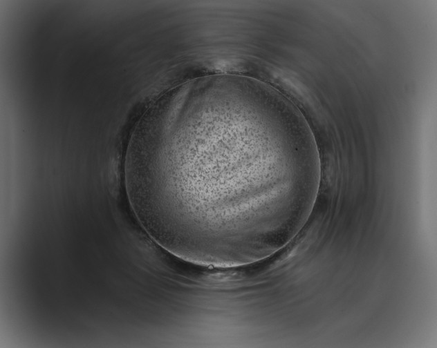 X0000089380461200706291320