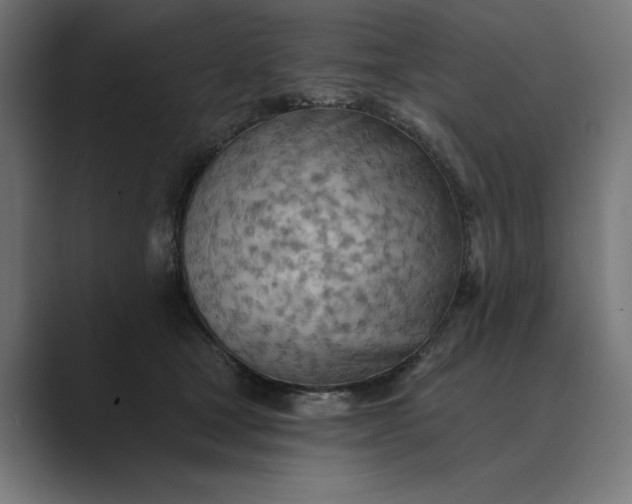 X0000089380465200706291320