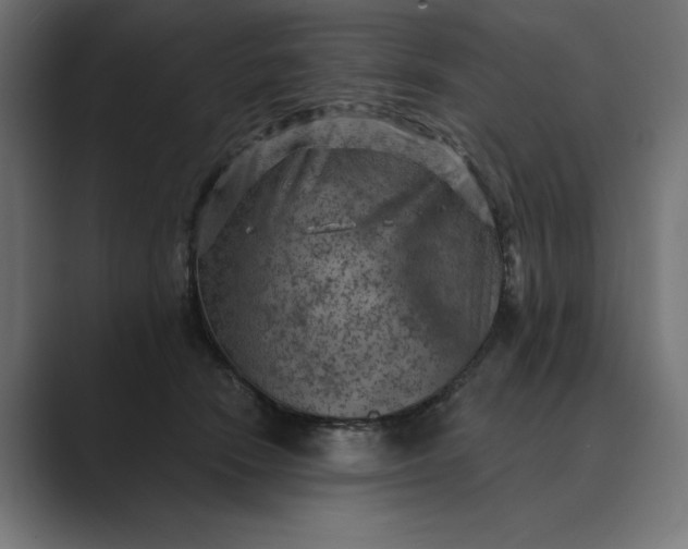 X0000089380466200706291320