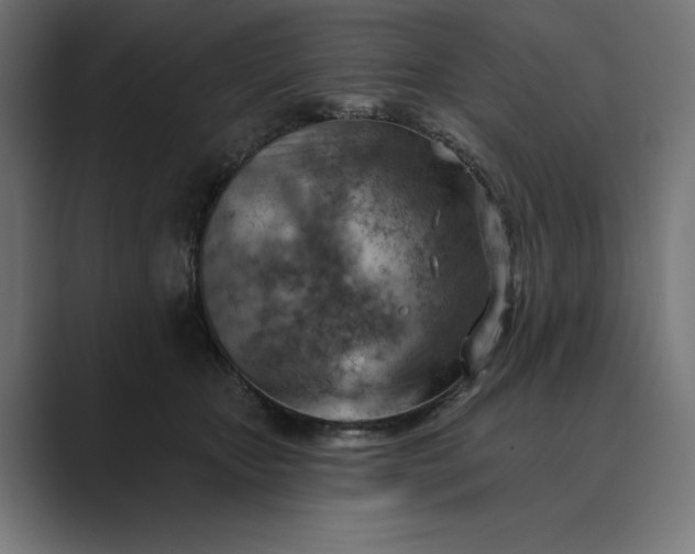X0000089380467200706291320