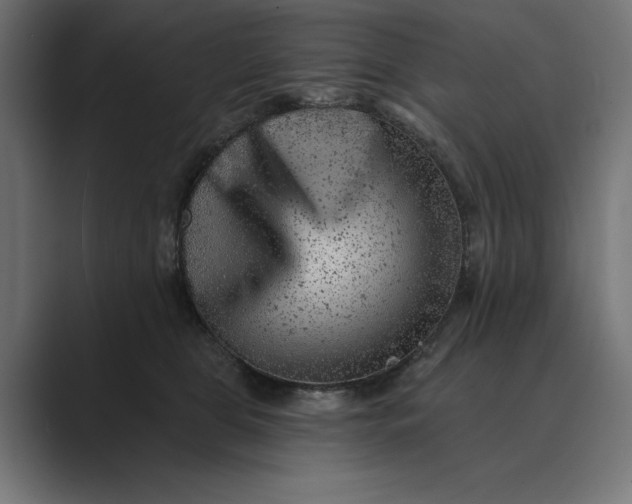 X0000089380469200706291320