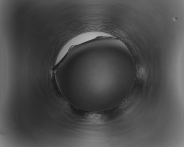 X0000089380471200706291320