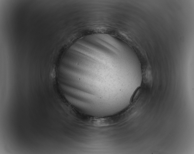 X0000089380472200706291320