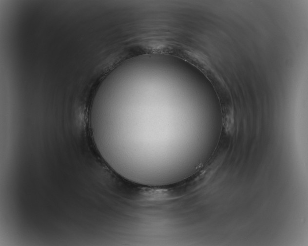 X0000089380476200706291320