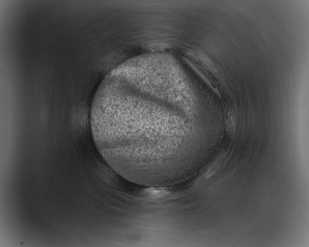 X0000089380477200706291320