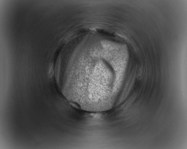 X0000089380478200706291320