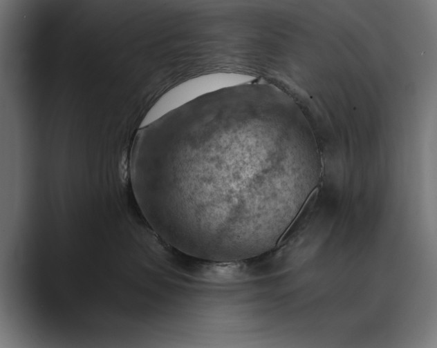 X0000089380479200706291320