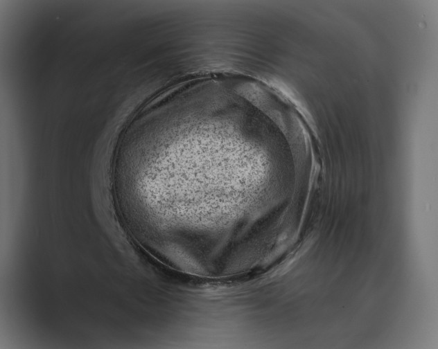 X0000089380481200706291319