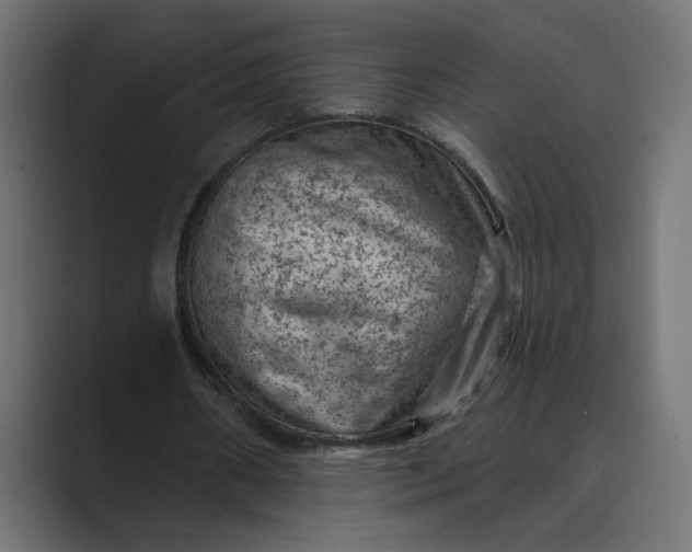 X0000089380482200706291319