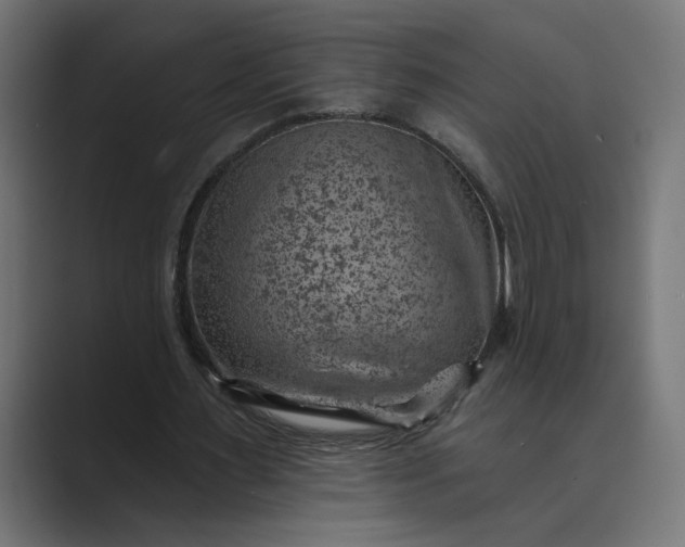 X0000089380483200706291319