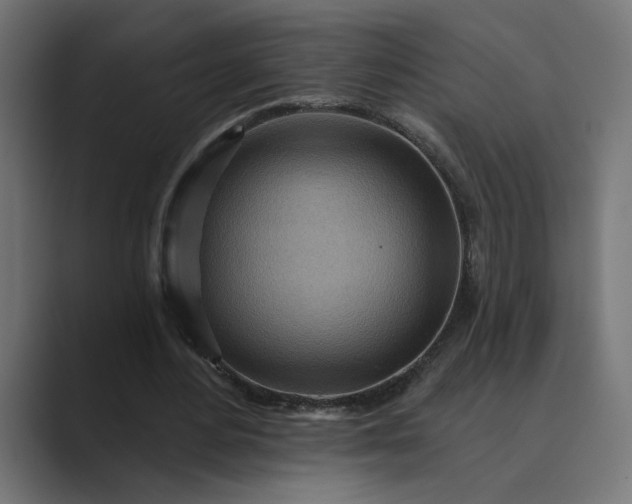 X0000089380484200706291319
