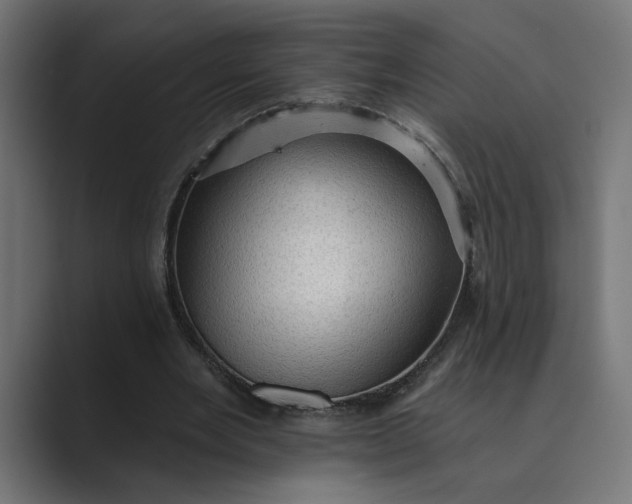 X0000089380485200706291319