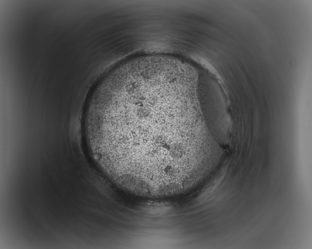 X0000089380487200706291319