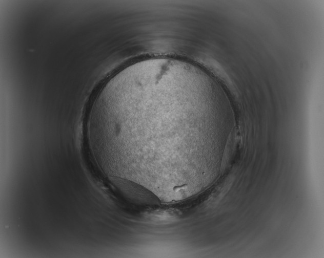 X0000089380488200706291319