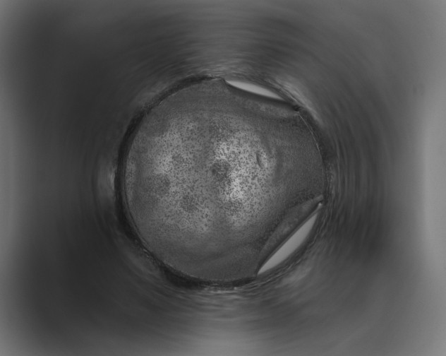X0000089380491200706291319