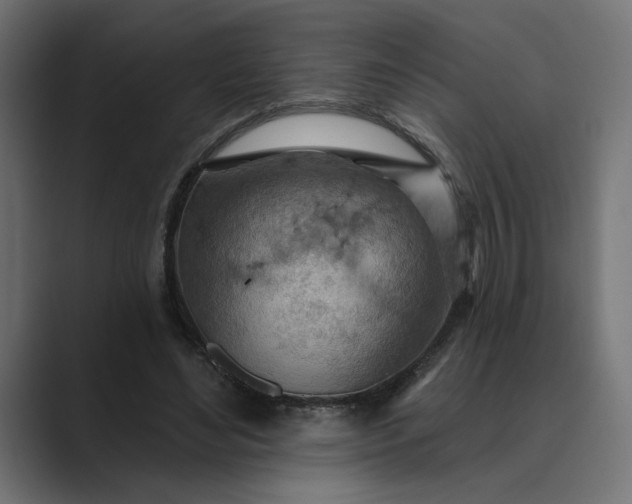 X0000089380492200706291319