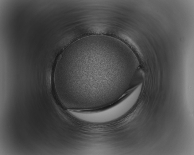 X0000089380493200706291319